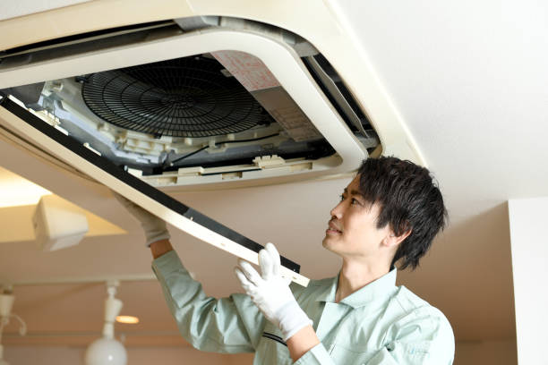 Best Air Duct Mold Removal  in Cotulla, TX